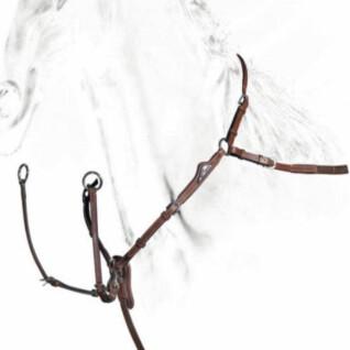 Vorderzeug für Pferde mit abnehmbarem Martingal Equiline