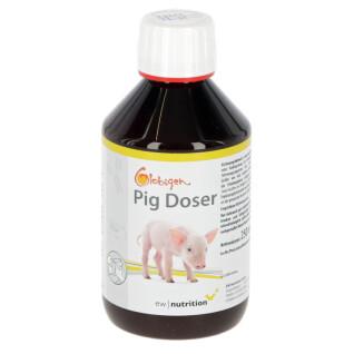 Ergänzungsfuttermittel für Ferkel Globigen Pig Doser